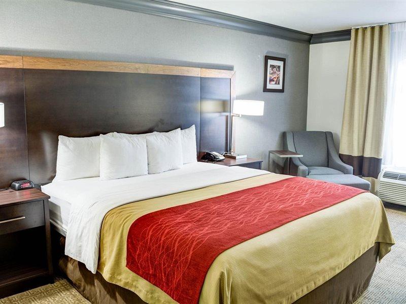 Comfort Inn & Suites Near Universal - N Hollywood - Burbank Los Angeles Buitenkant foto
