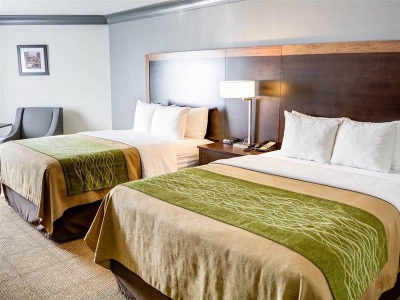 Comfort Inn & Suites Near Universal - N Hollywood - Burbank Los Angeles Buitenkant foto